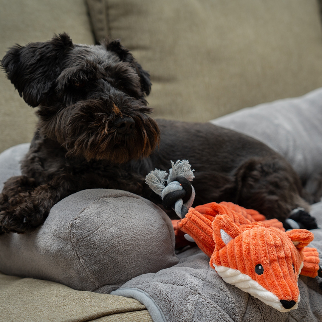 Nobby Plush Fox with Rope 1