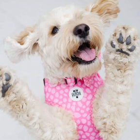 Oh So Fetch Pretty Wild Padded Dog Harness in Pink