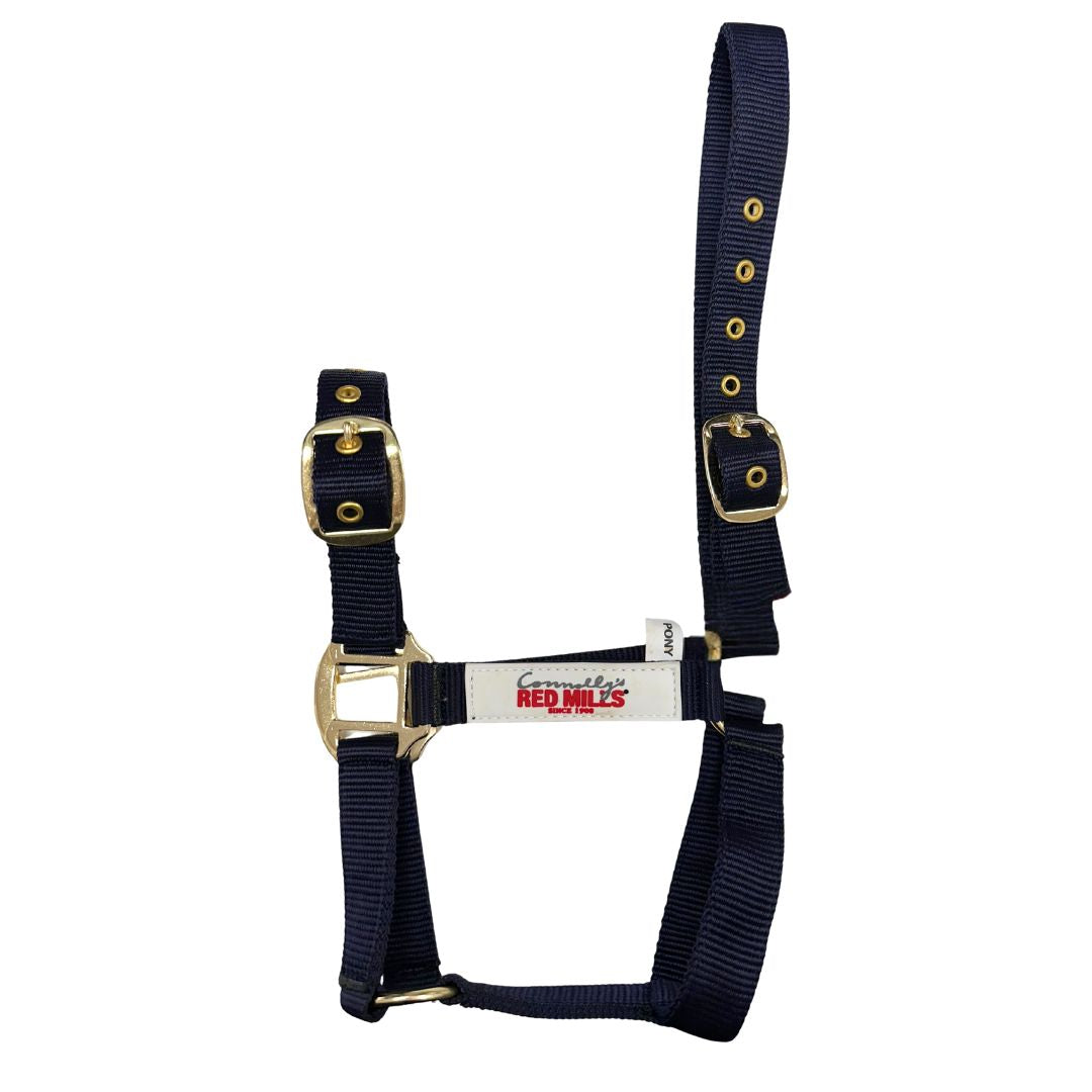 Red Mills Horse Headcollar in Navy