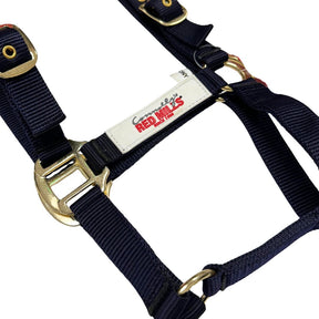 Red Mills Horse Headcollar in Navy