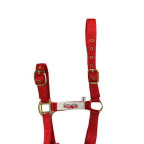 Red Mills Horse Headcollar in Red