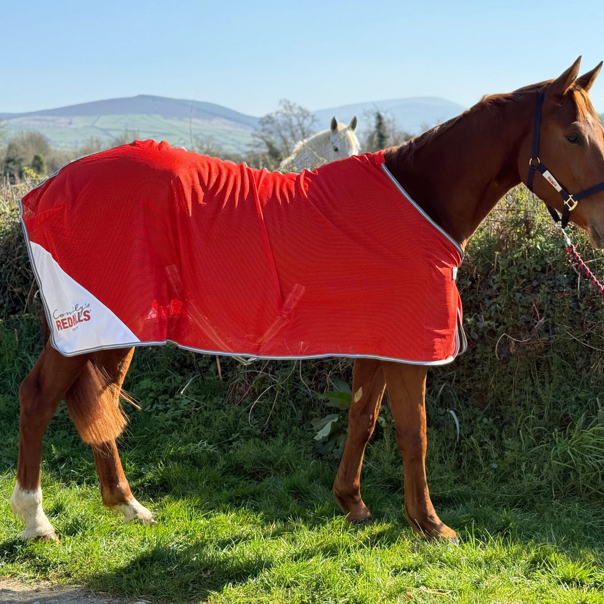 Red Mills Horse Mesh Cooler in Red