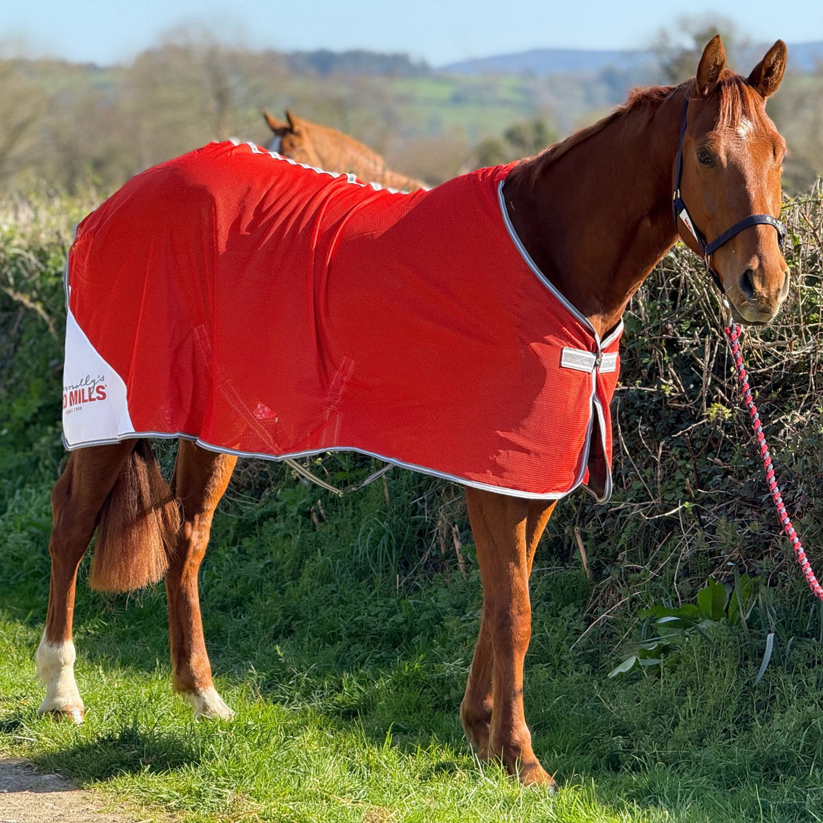 Red Mills Horse Mesh Cooler in Red