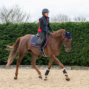 Red Mills Horse Saddle Pad in Navy