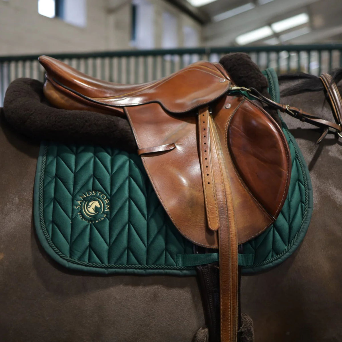 SandStorm Horse Saddle Pad in Emerald Green