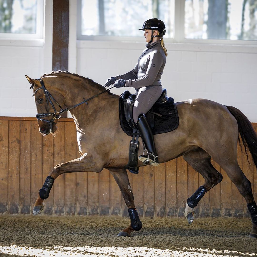 Schockemohle Women's SP Reny Riding Jacket in Dusty Chocolate