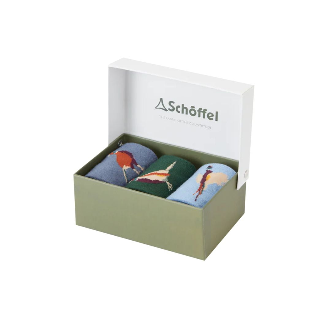 Schoffel Men's Bamboo Sock Box of 3 in Pheasant
