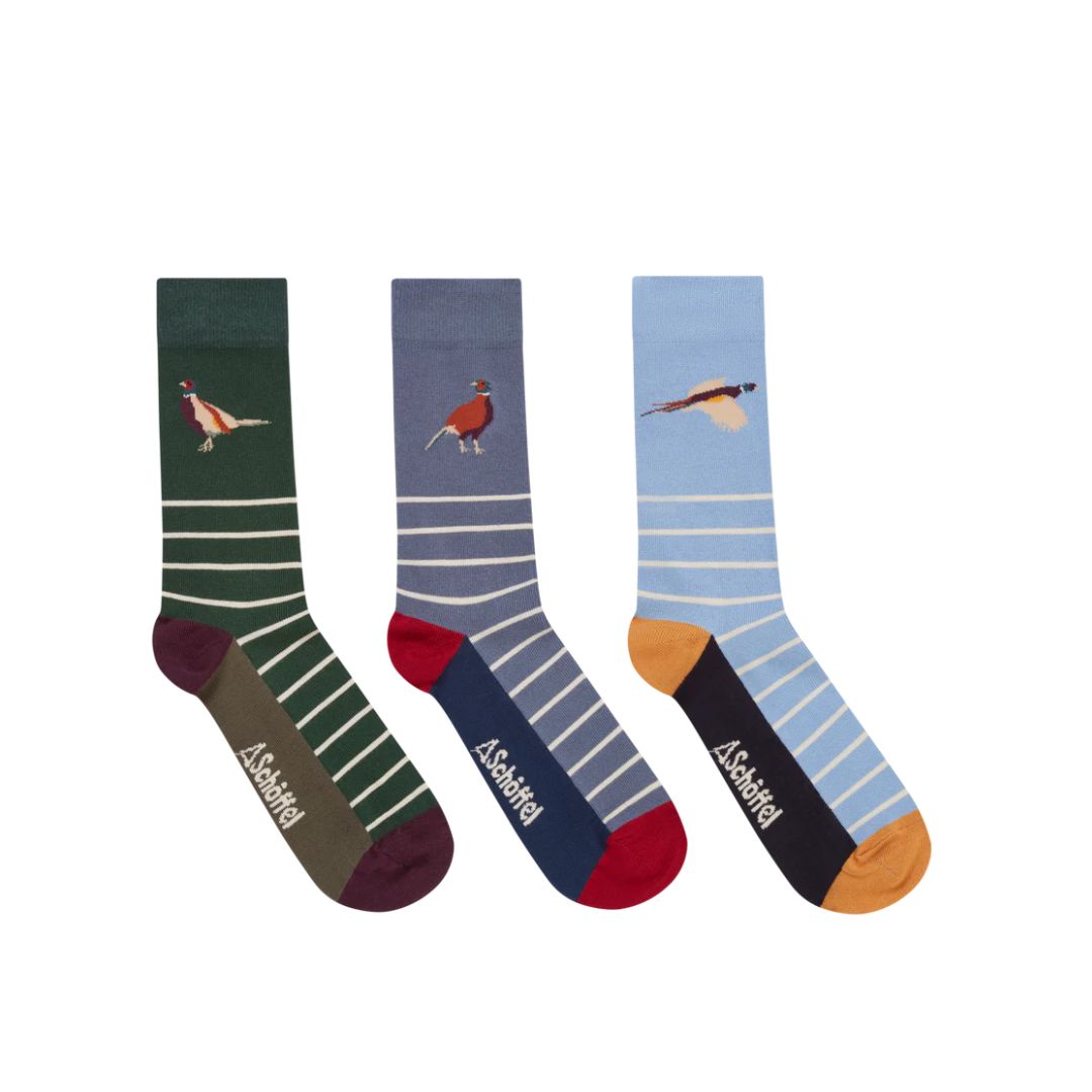 Schoffel Men's Bamboo Sock Box of 3 in Pheasant