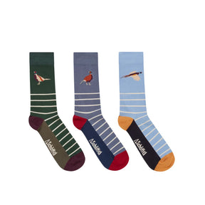 Schoffel Men's Bamboo Sock Box of 3 in Pheasant