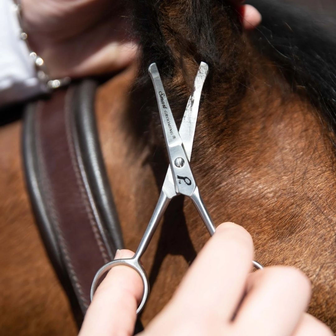 Smart Grooming Safety Scissors 4.5in