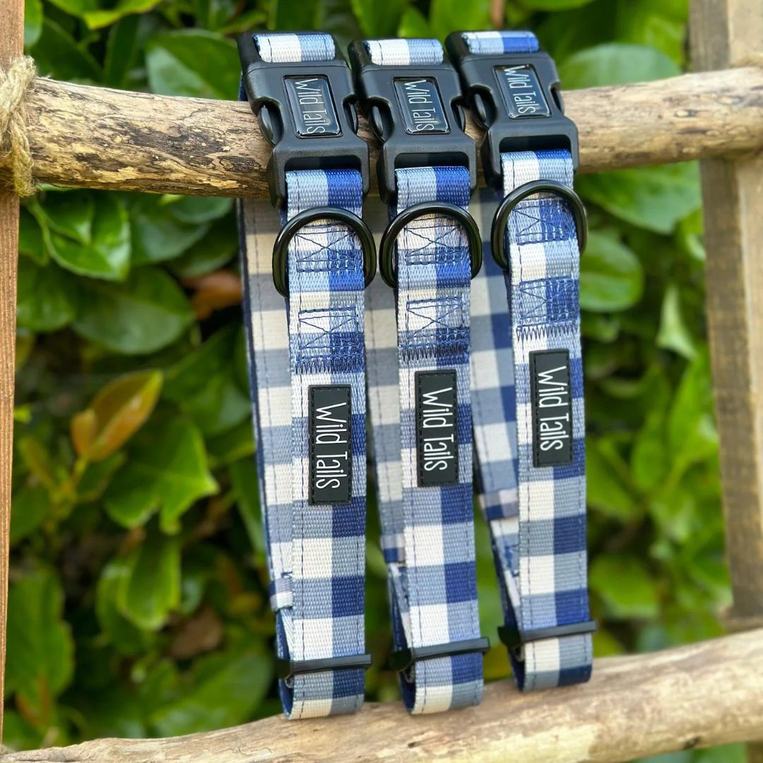Wild Tails Classic Check Dog Collar in Navy