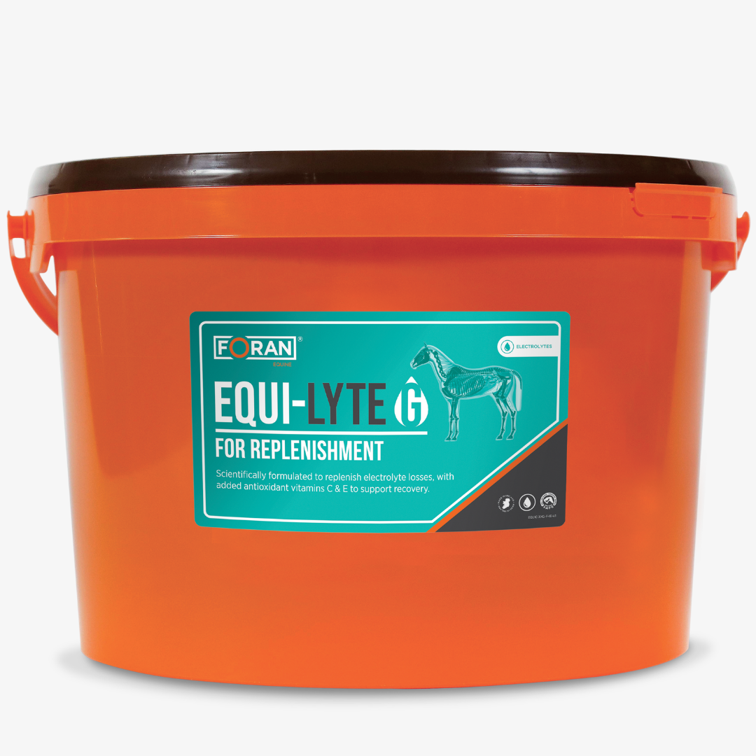 Foran Equine Equi-Lyte G Essential Powdered Electrolytes