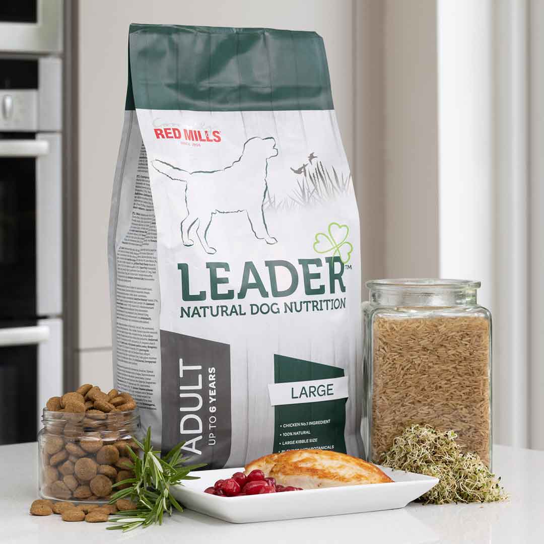 Leader - Adult Large Breed Dog Food