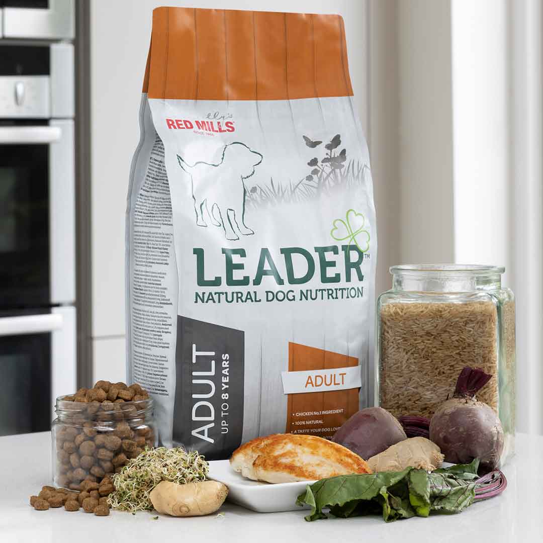 Leader - Adult Medium Breed Dog Food