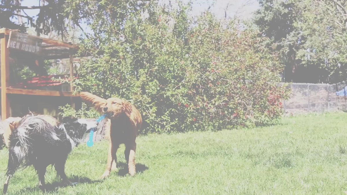 KONG Safestix Dog Toy