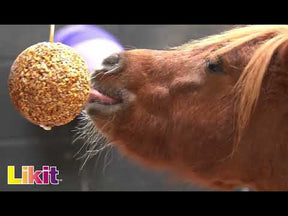 Likit Granola Stall Ball in Apple