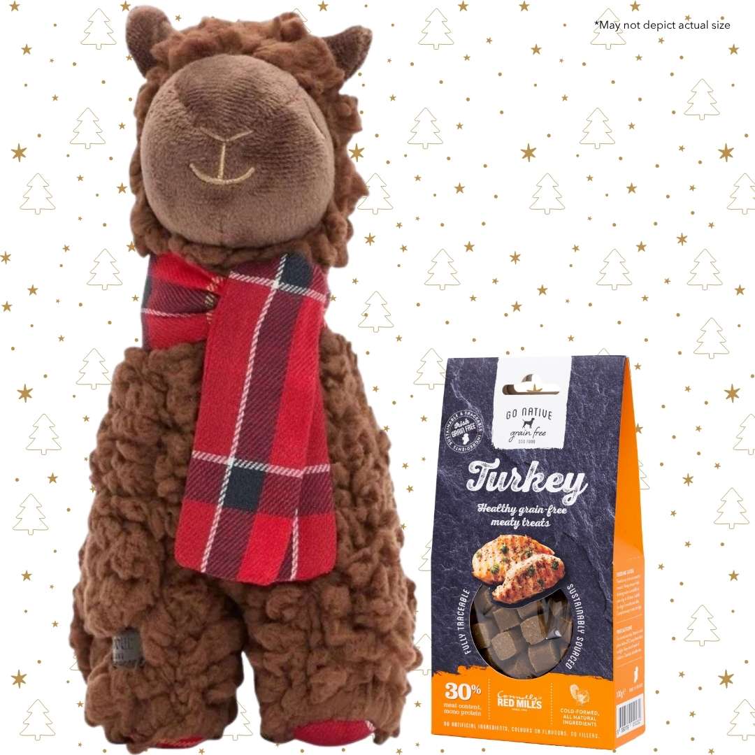 Santa Paws Mini Bundle - Llama Toy