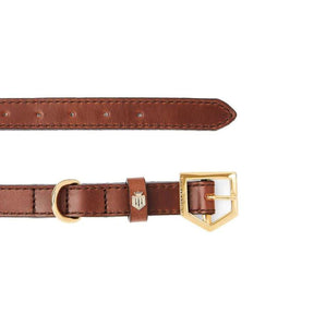 Fairfax & Favor Fitzroy Leather Dog Collar in Tan