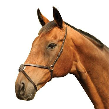 Mackey Classic Grackle Mexican Noseband - RedMillsStore.ie