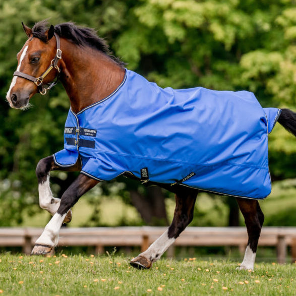 Horseware Amigo Hero Ripstop Pony Light Turnout Rug in Blue, Navy & Grey (0g)