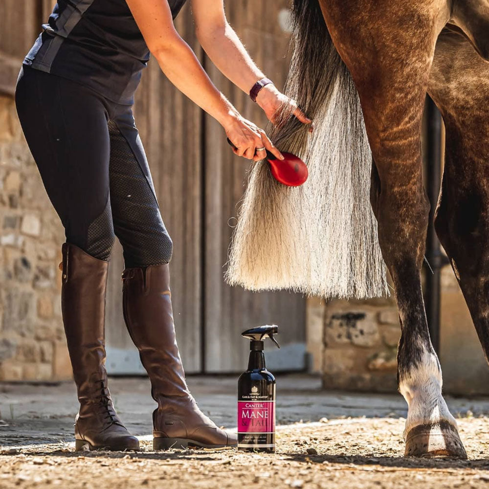 Carr & Day & Martin - Canter Mane & Tail Conditioner