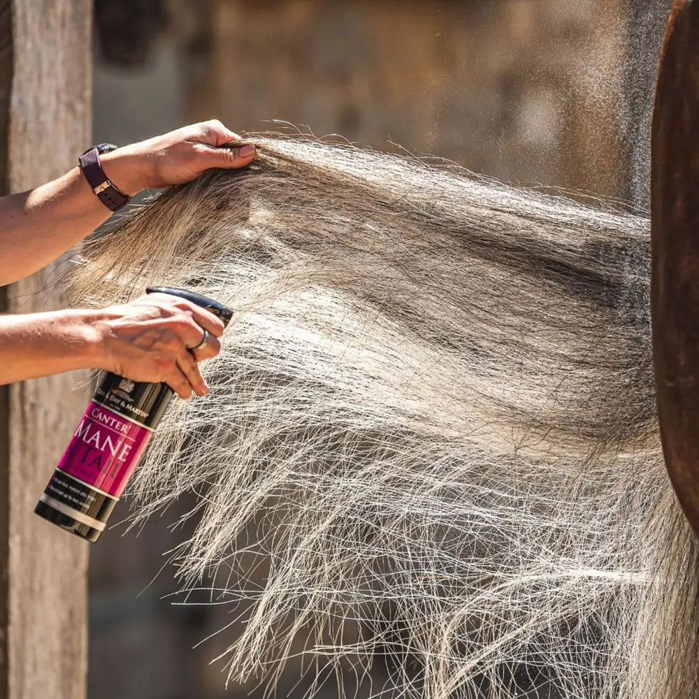 Carr & Day & Martin - Canter Mane & Tail Conditioner