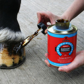 Carr & Day & Martin - Cornucrescine Daily Hoof Dressing