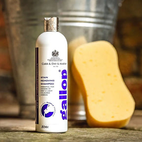 Carr & Day & Martin - Gallop Stain Removing Shampoo