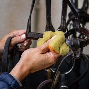 Carr & Day & Martin Tack Cleaning Sponge