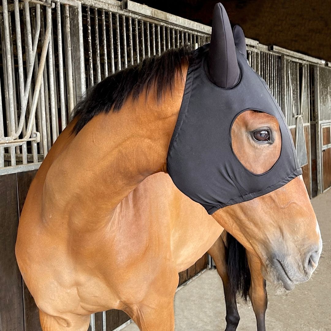 Celtic Equine Breeze Up Whisper Lycra Hood in Black