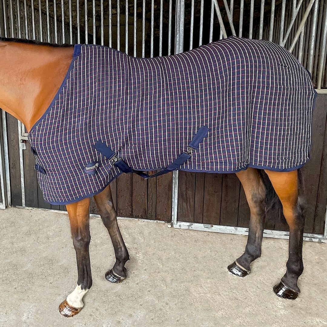 Celtic Equine Honeycomb Waffle Cooler Rug in Navy