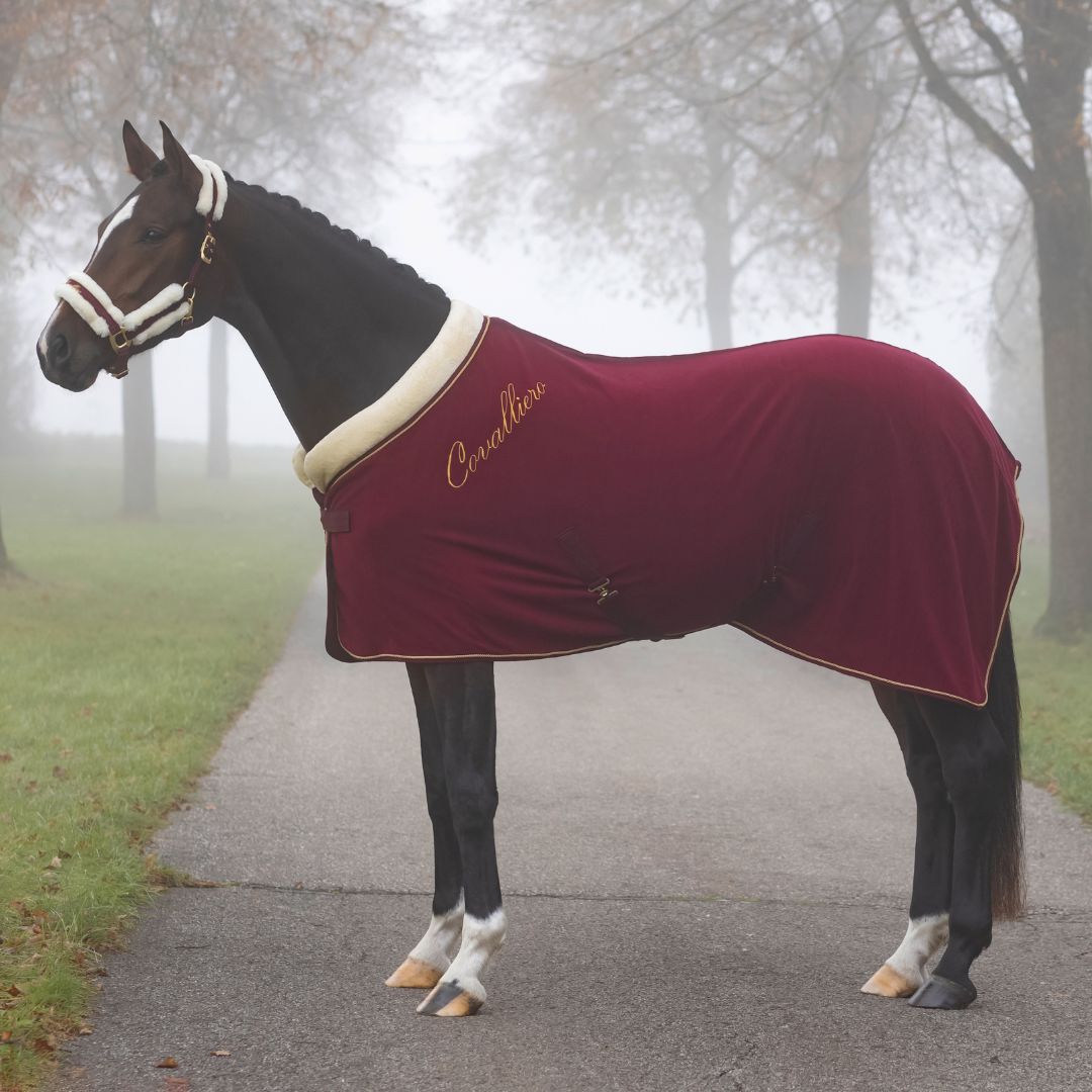 Covalliero Horse Fleece Blanket in Merlot