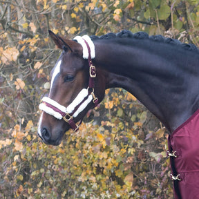Covalliero Horse Halter in Merlot