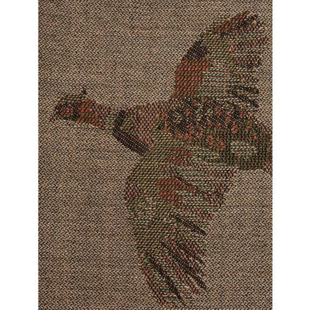 Dubarry Women's Birchdale Pheasant Wool Scarf in Taupe