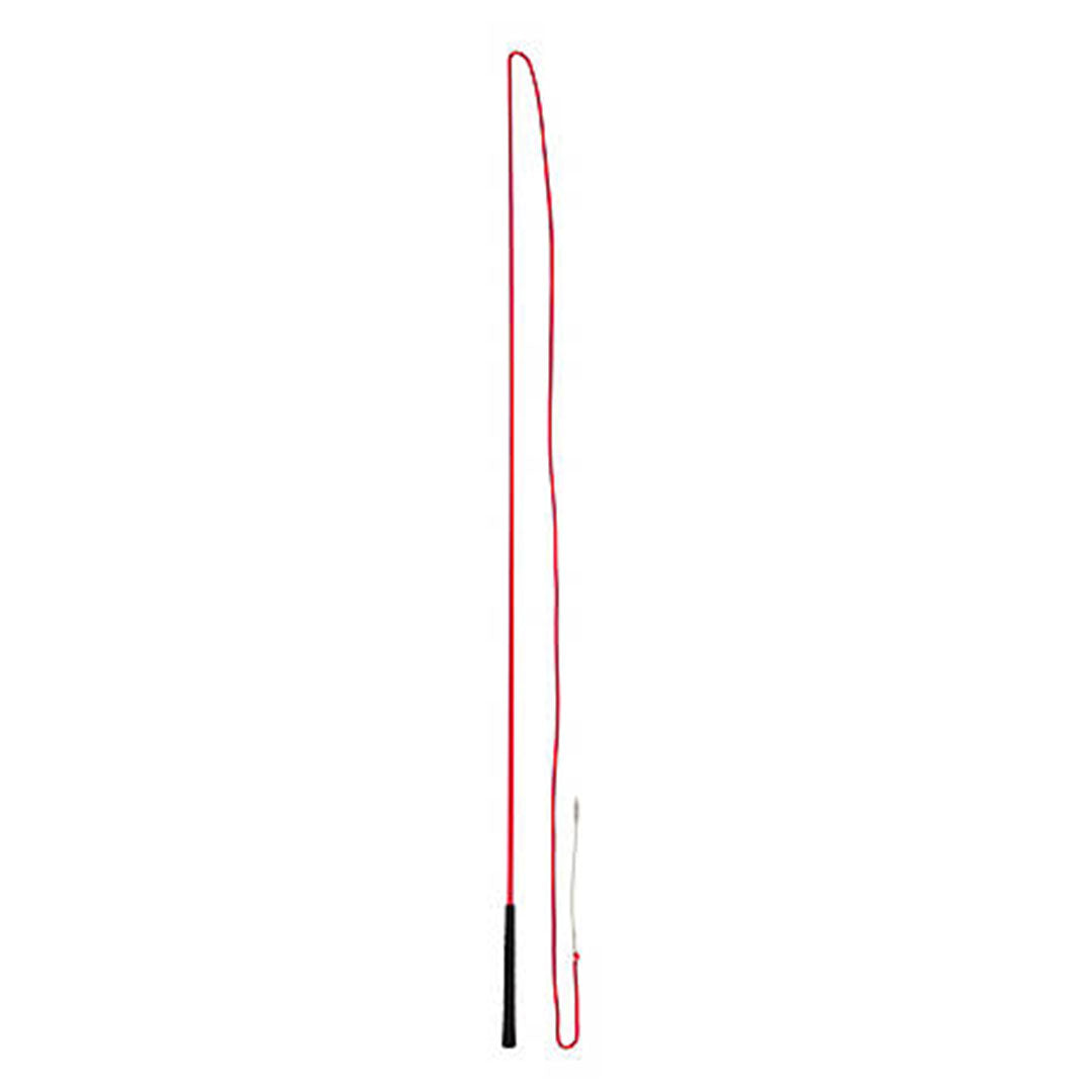 Economy Lunge Whip in Red