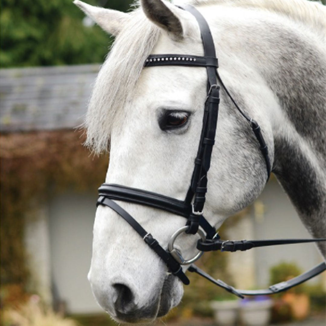 Mackey Equisential Bling Bridle in Black
