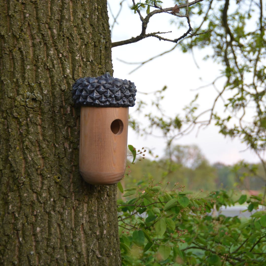 Esschert Design Acorn Nesting Box