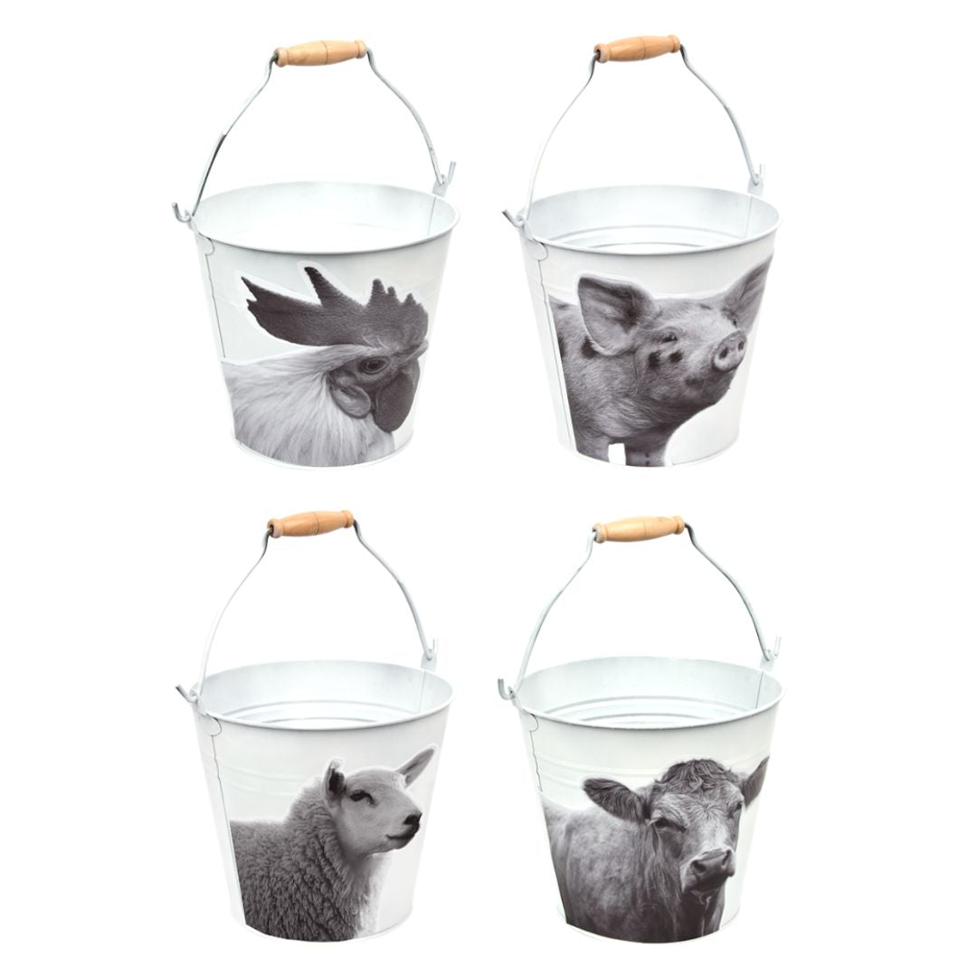 Esschert Design Farm Animals Bucket Assortment in Black/White