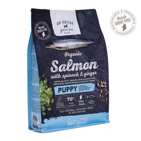 Go Native Puppy with Organic Salmon, Spinach & Ginger