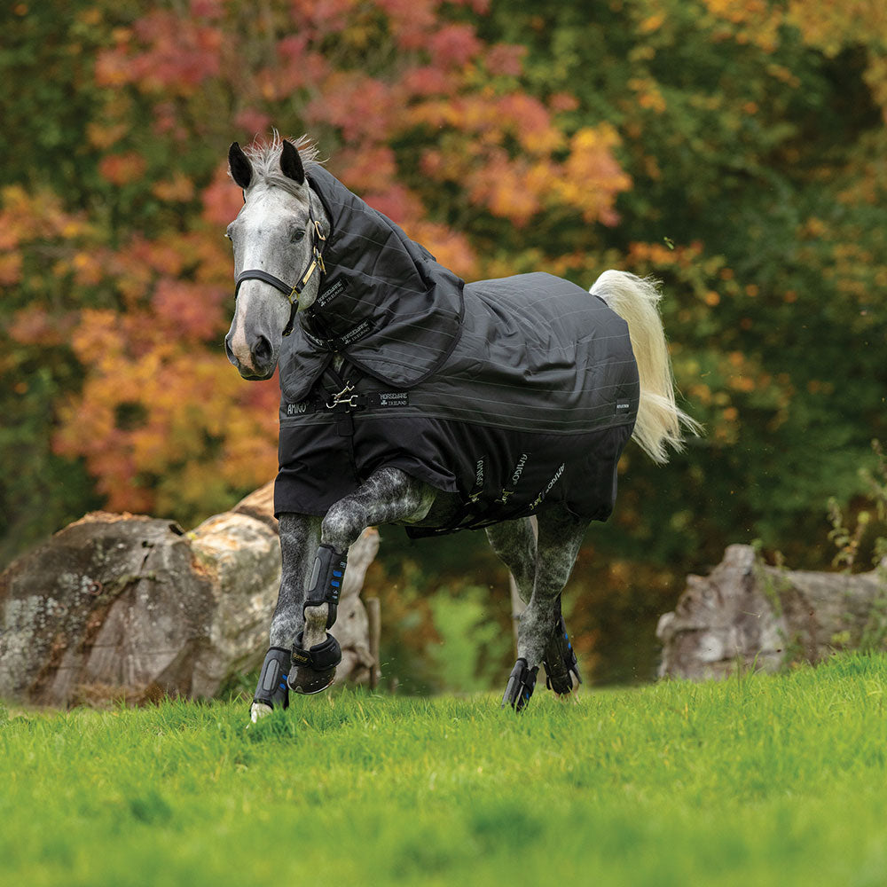 Horseware Amigo Bravo 12 Plus Reflectech Medium Turnout Rug in Black (250g)