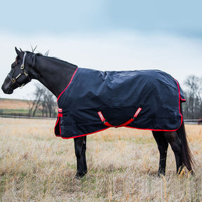 Horseware Rambo Original Medium Turnout Rug in Navy/Red (200g)