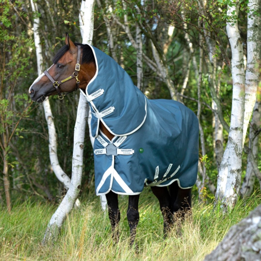 Horseware Amigo AmECO 12 Plus Turnout Rug in Teal & Grey (Lite 0g)
