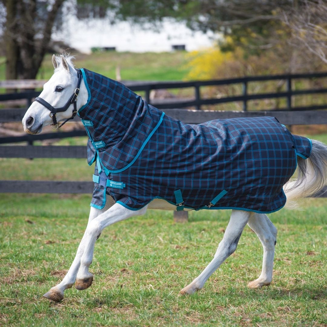 Horseware Amigo Pony Plus Turnout Lite Rug in Black Check, Teal & Silver (50g)