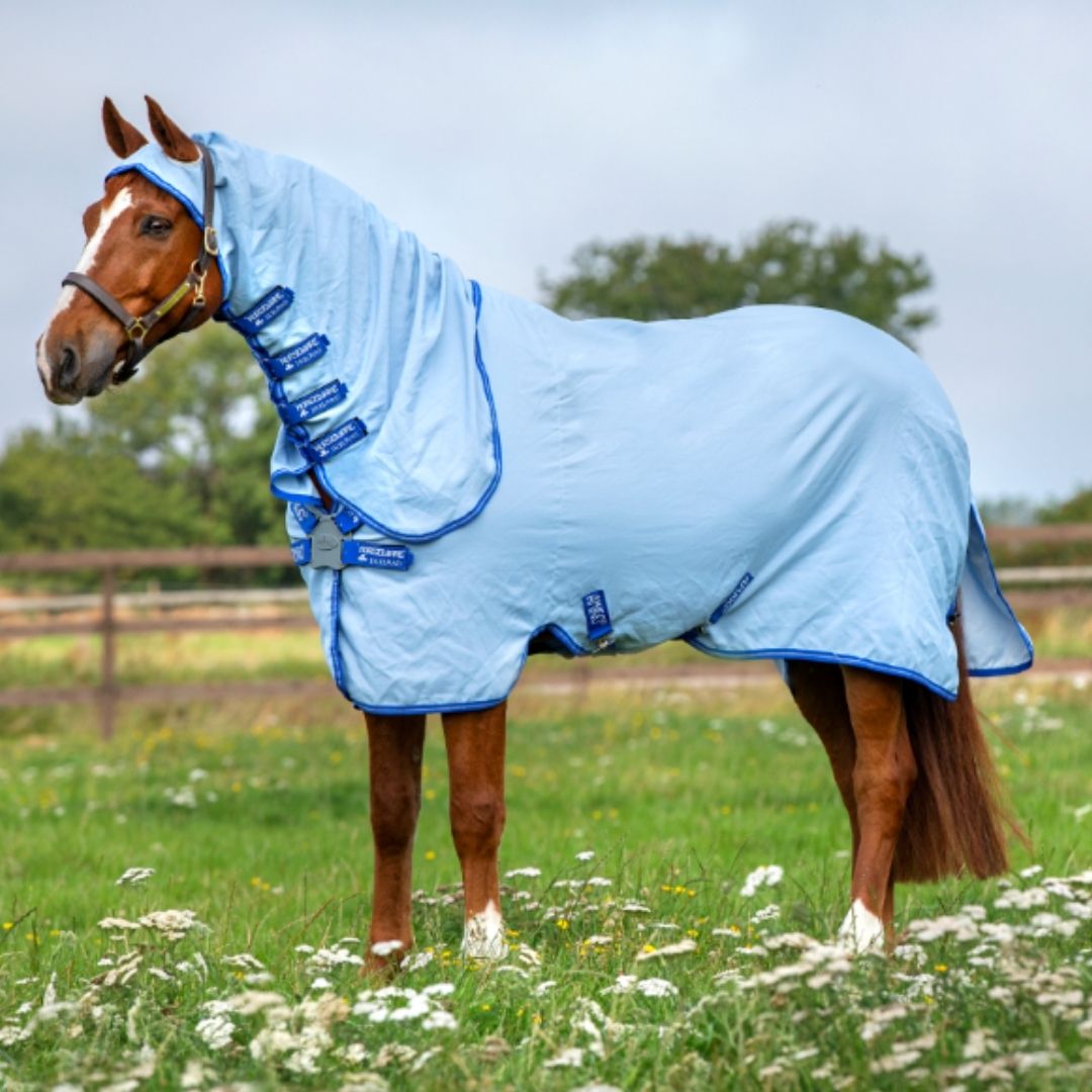 Horseware Amigo Pony Ripstop Hoody Rug in Azure Blue, Strong Blue & Silver
