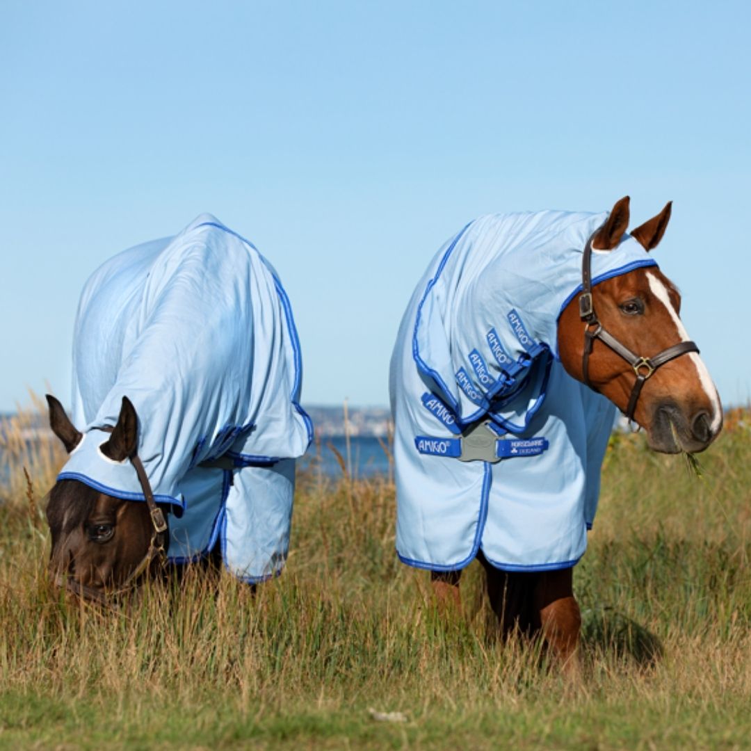 Horseware Amigo Pony Ripstop Hoody Rug in Azure Blue, Strong Blue & Silver