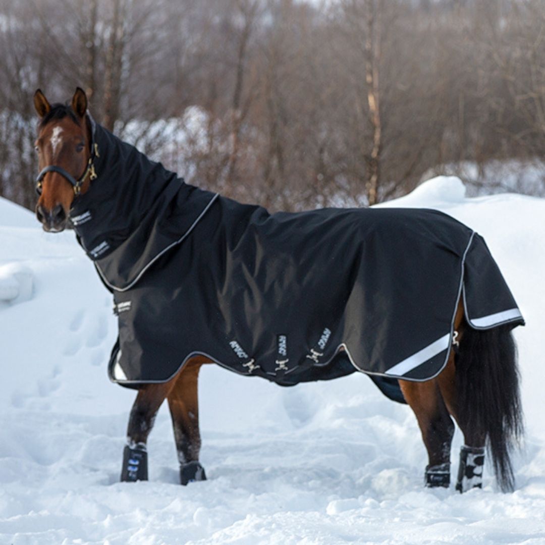 Horseware Amigo Super Bravo Plus Medium Turnout Rug in Black (250g)