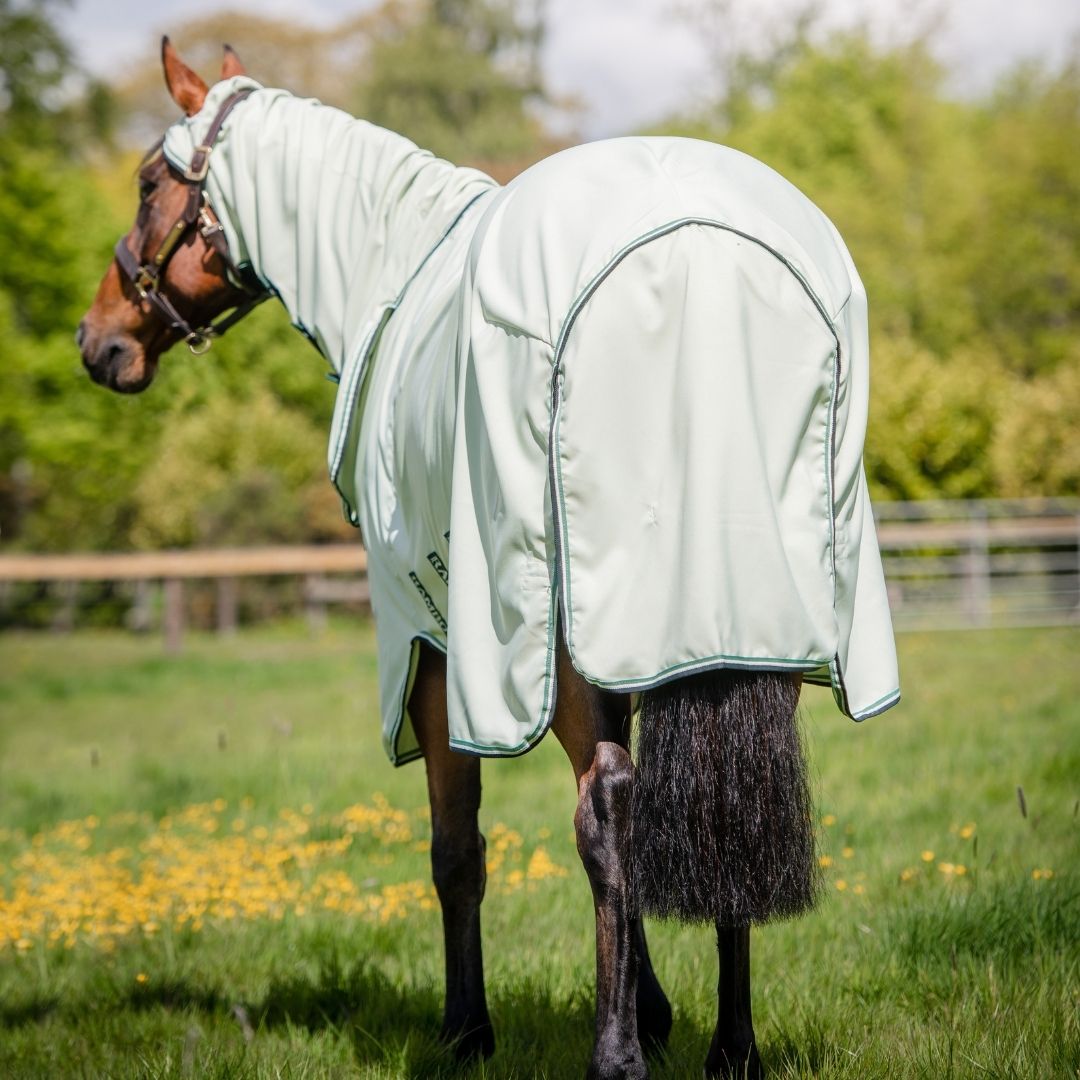 Horseware Rambo Hoody in Green / Sage, Beige & Green