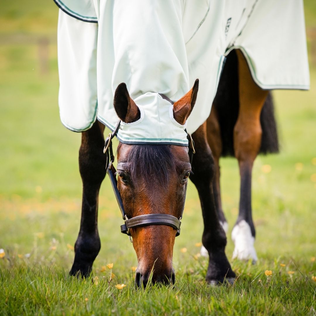 Horseware Rambo Hoody in Green / Sage, Beige & Green