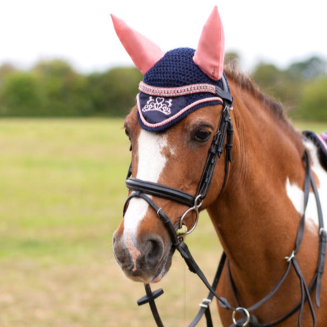 Hy Equestrian Little Rider The Princess and the Pony Fly Veil
