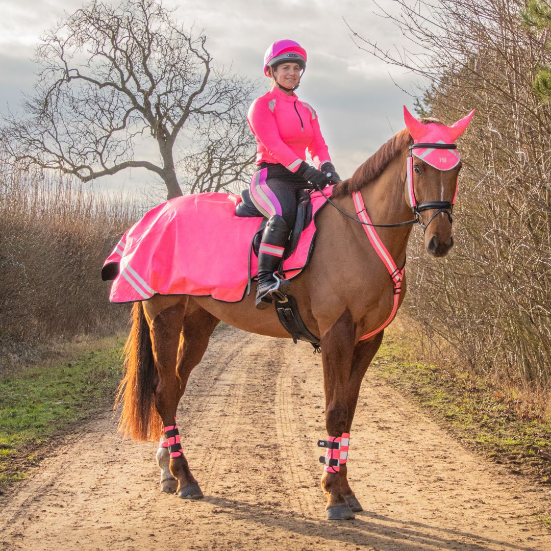 Hy Equestrian HyViz Reflector Mesh Exercise Sheet in Pink